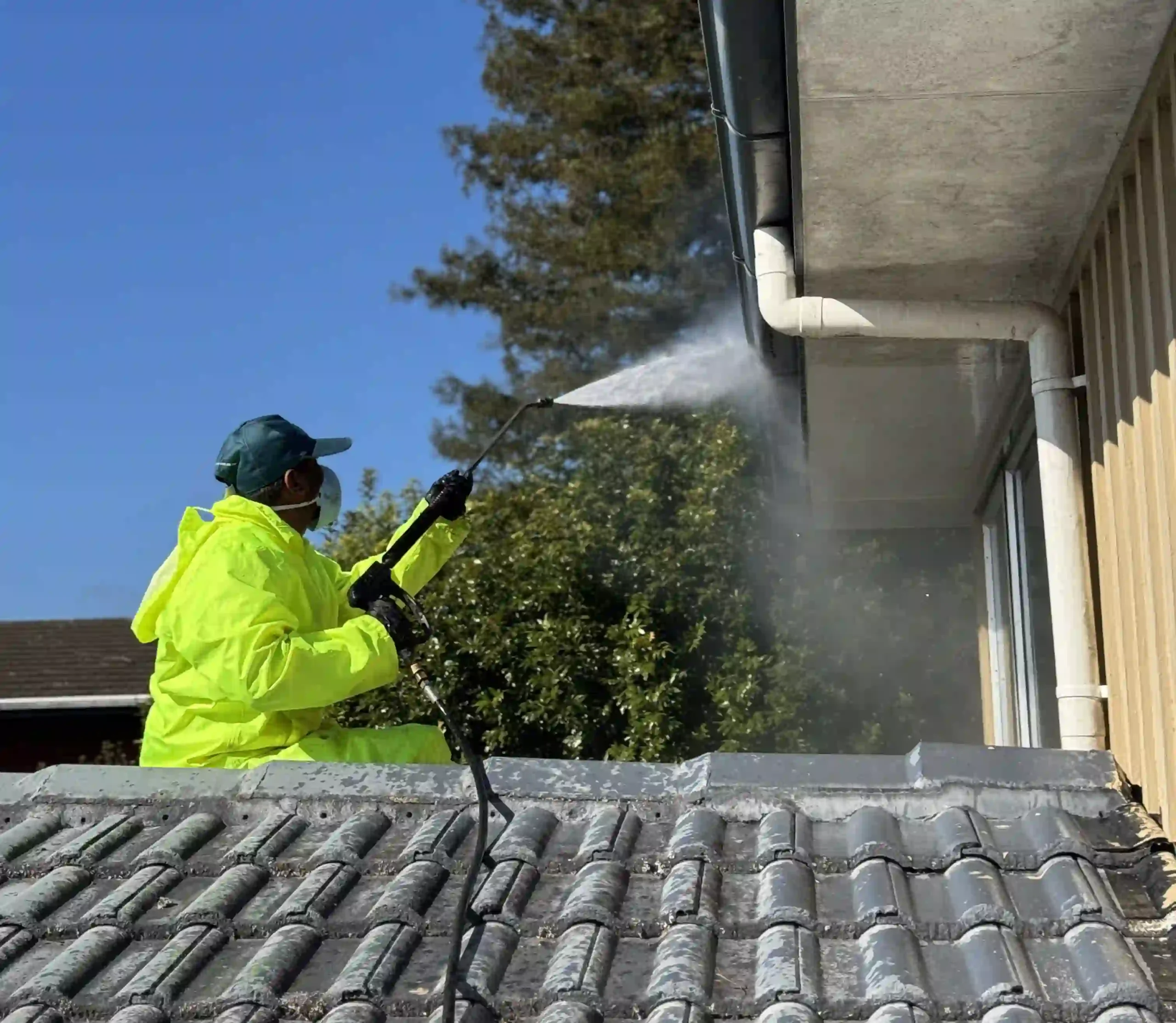 House cleaning services